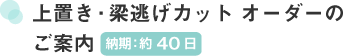 上置き・梁逃げカット オーダーのご案内