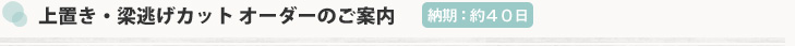 上置き・梁逃げカット オーダーのご案内