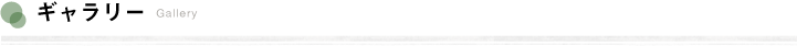 ギャラリー